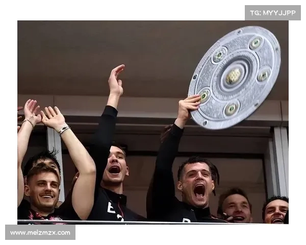 德甲历史冠军次数排名分析及各队辉煌时刻回顾